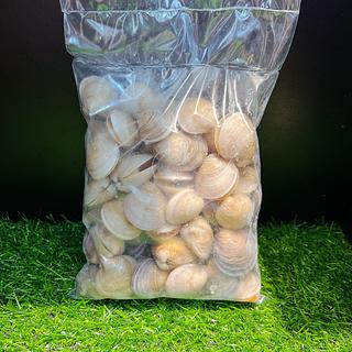 蛤蜊 500g