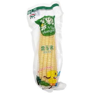 甘肃黄羊河 白糯玉米 250g