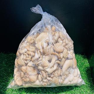 平菇1kg