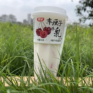 维宝 车厘子牛乳 520克