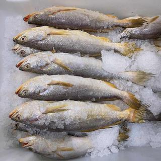 黄鱼1kg